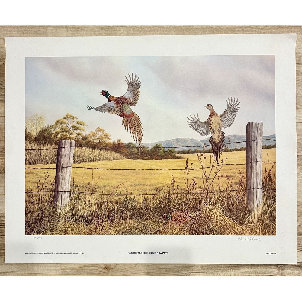 Dave Chapple Wildlife Art Print Flushing California Quail Signed And Numbered
